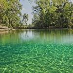 Wekiwa Springs State Park