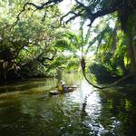 Estero River Outfitters