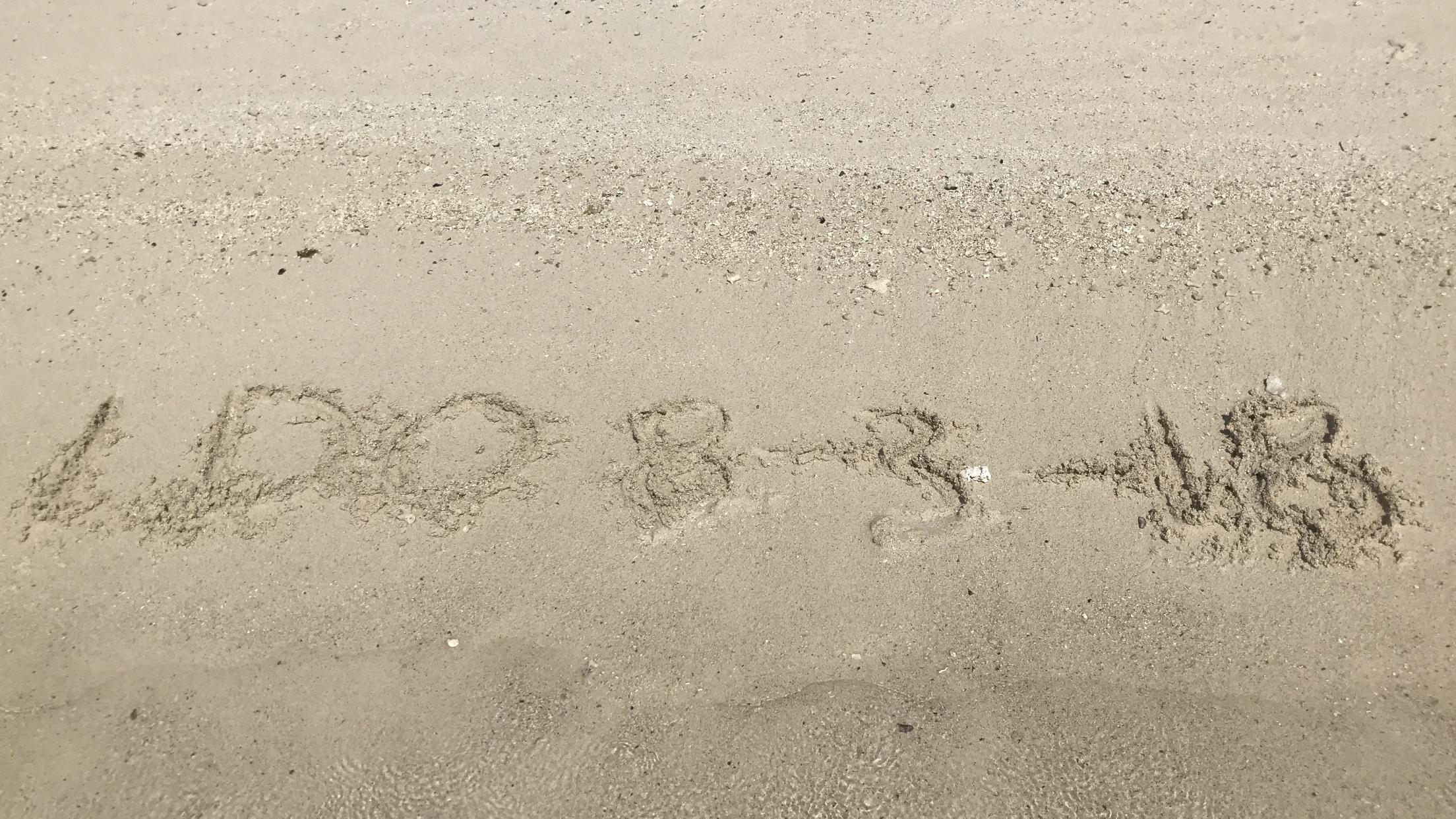 The Wedding Website of patricia costa and marco martins