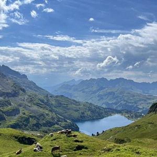 Adventure Filled Honeymoon