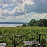Ventosa Vineyards