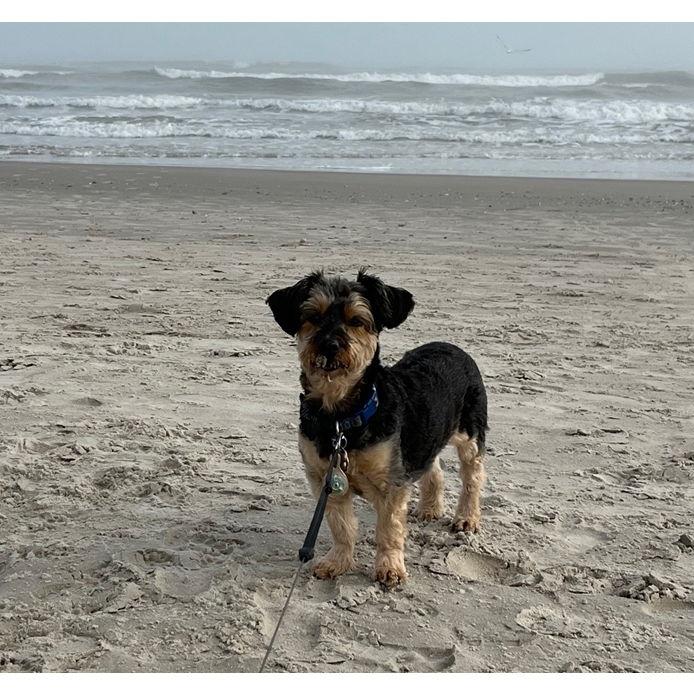 Hanging with our buddy at Port Aransas on our first New Years together.