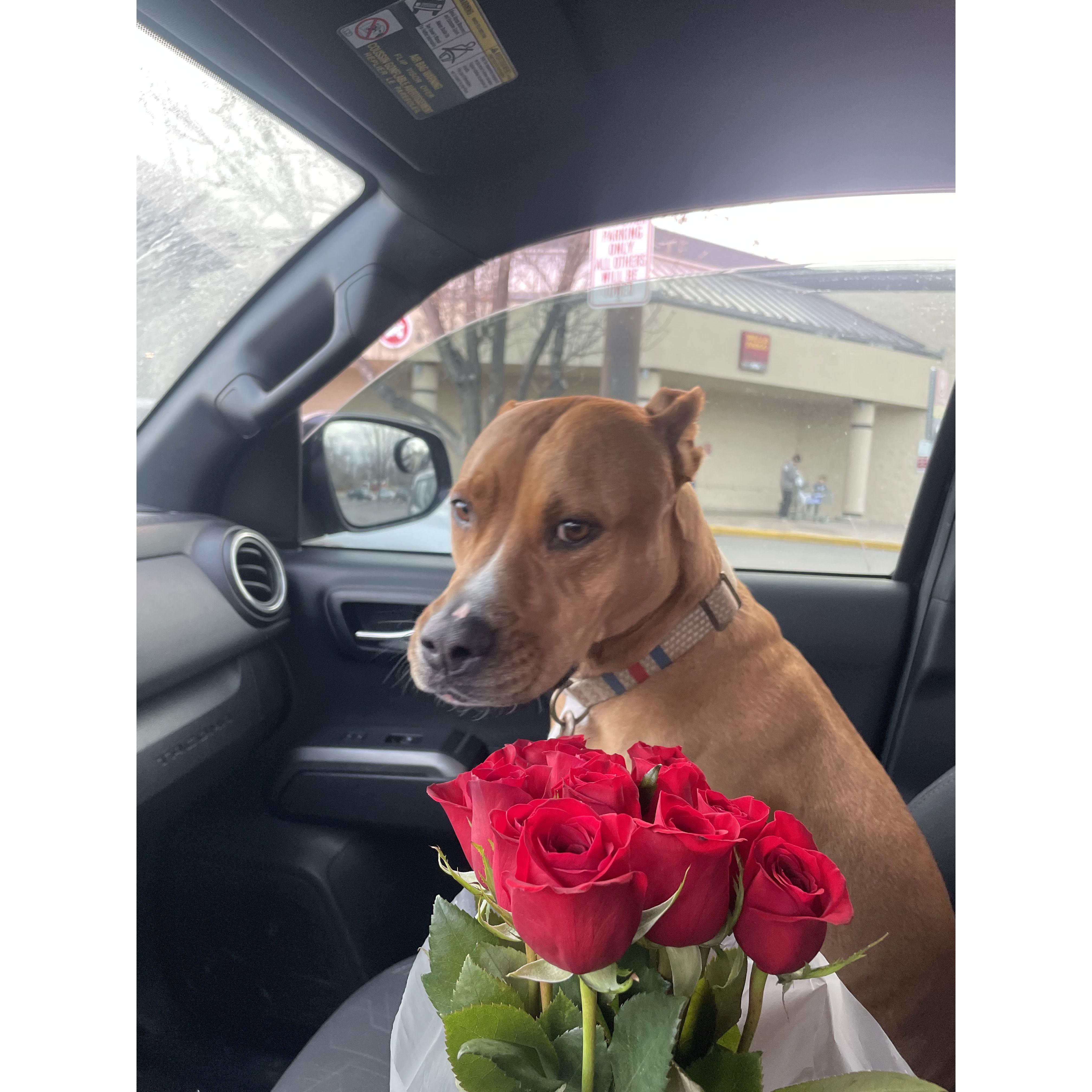Omg flowers?!