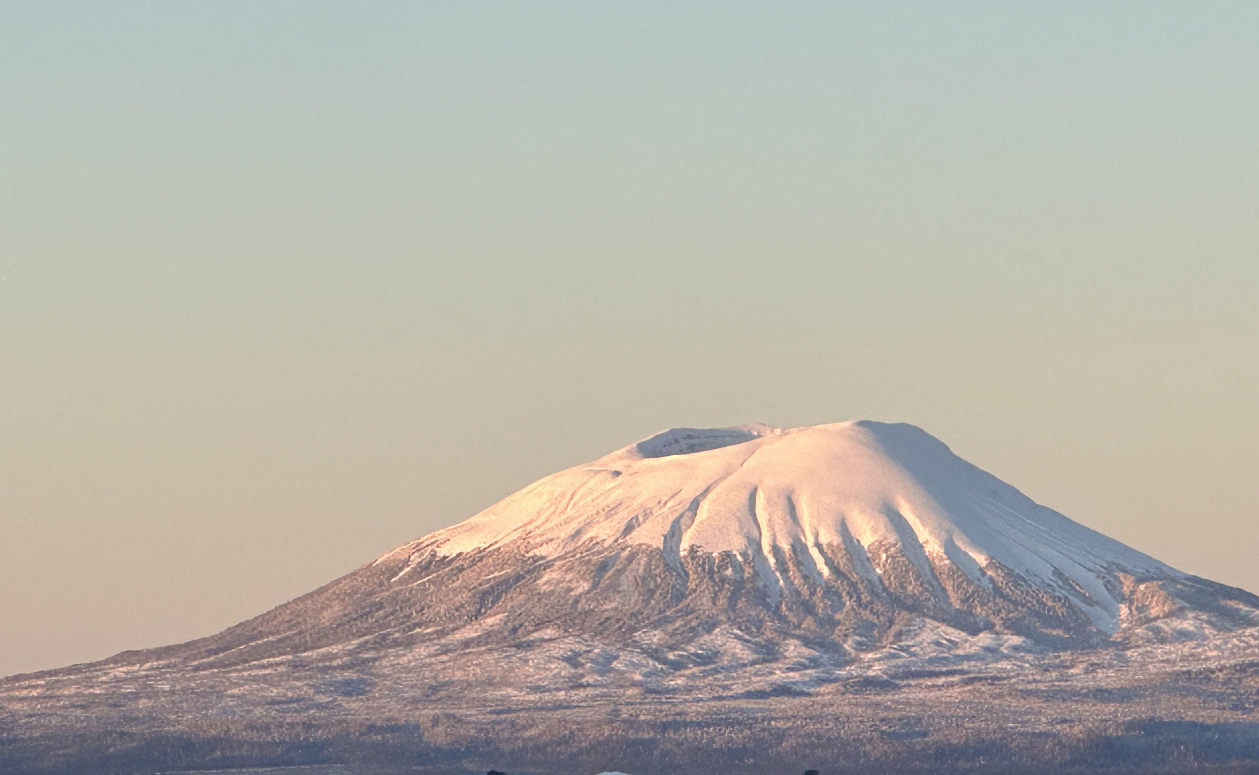 The Wedding Website of Willoughby Peterson and Shannon Agne