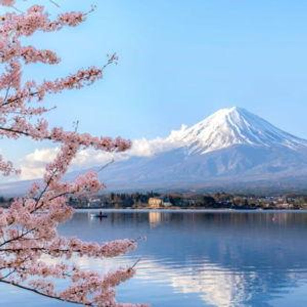 Honeymoon Fund: Japan