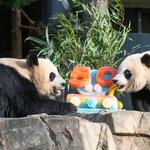 Smithsonian National Zoo