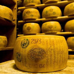 Parmigiano Reggiano and Balsamic Vinegar tour!