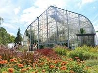 Krohn Conservatory