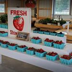Hank's Farmstand