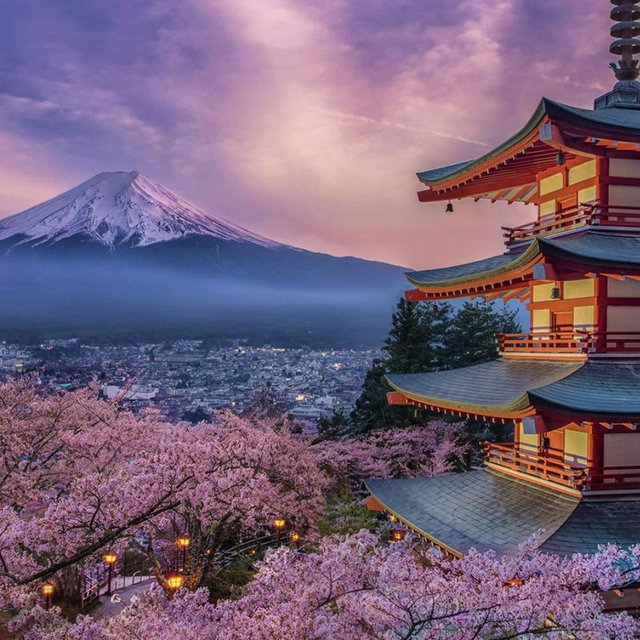 Our Honeymoon Fund - JAPAN!