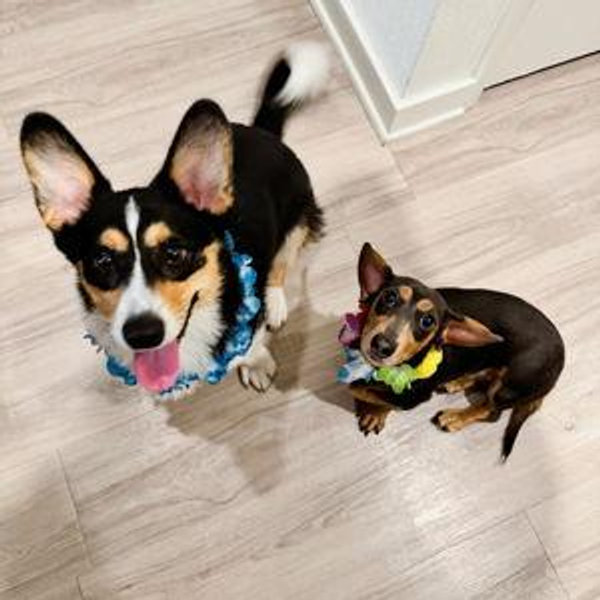 Our Honeymoon & Newlywed Fund