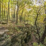 High Cliff State Park