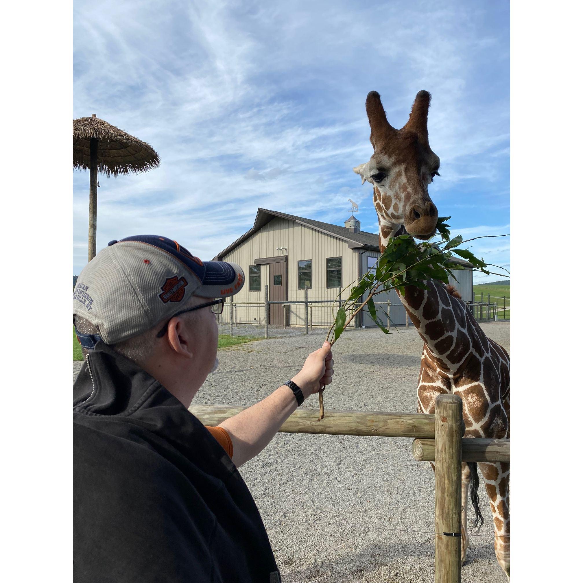 Tom feeding the giraffes at Lake Tobias