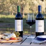 Seghesio Winery
