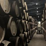 Oporto Wine cellars