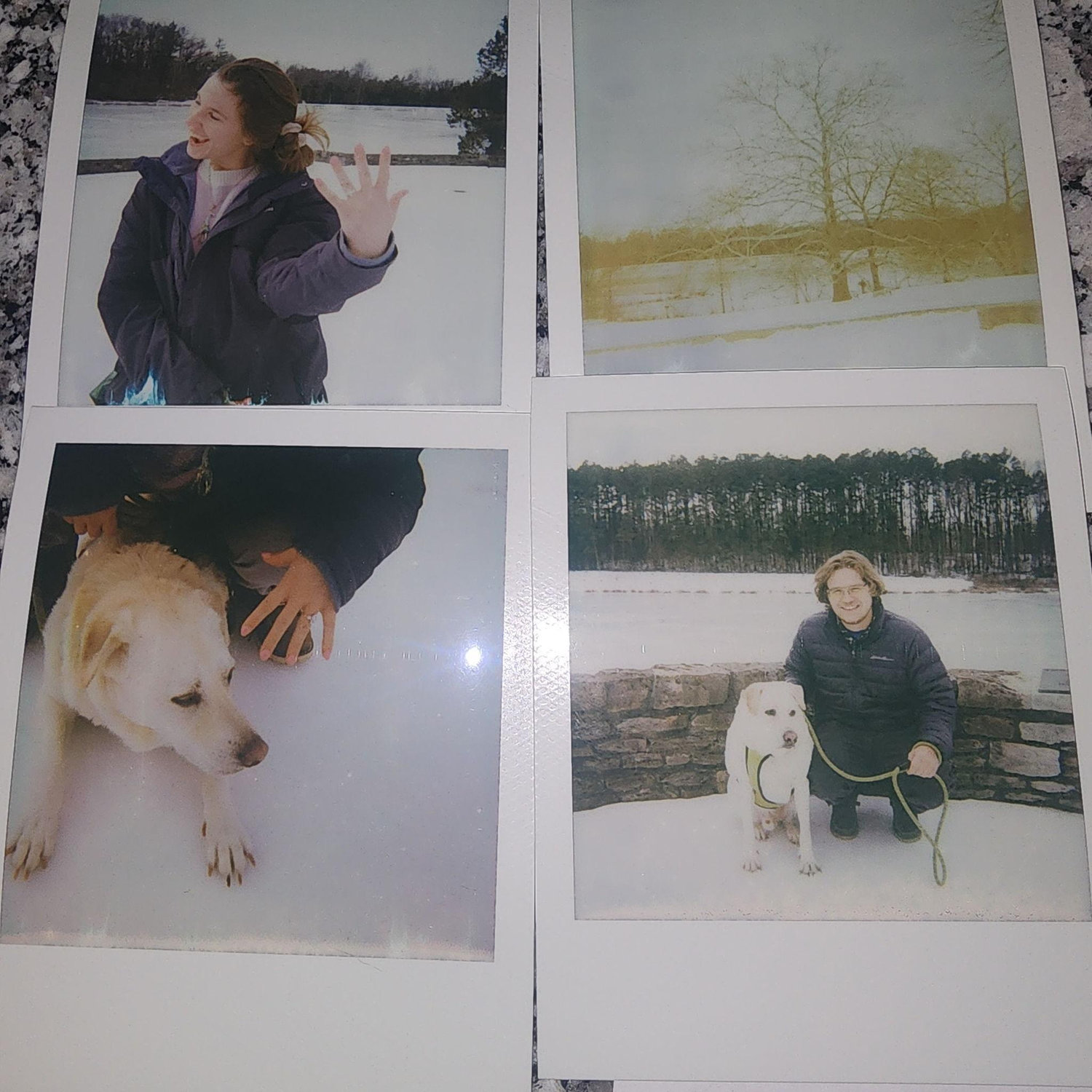 Proposal Poloroid