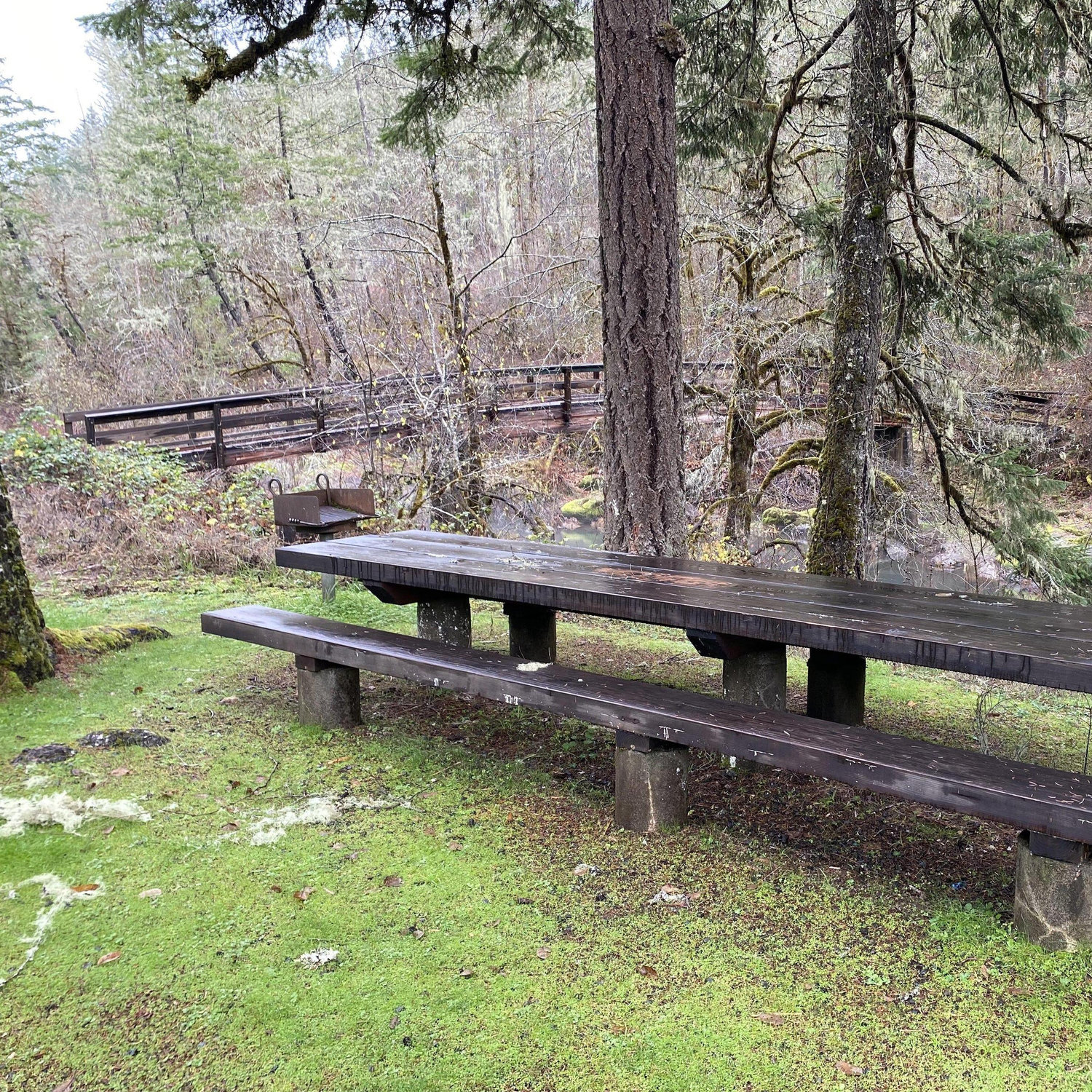 Bridge to hiking.