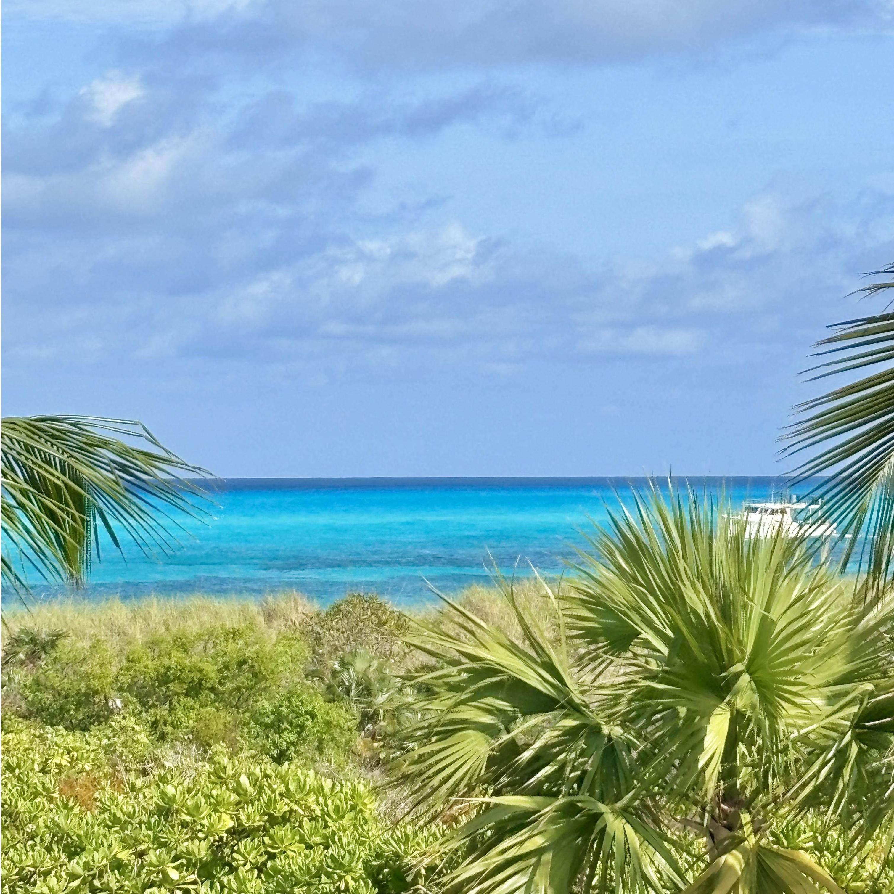 South Bimini. March 2024.