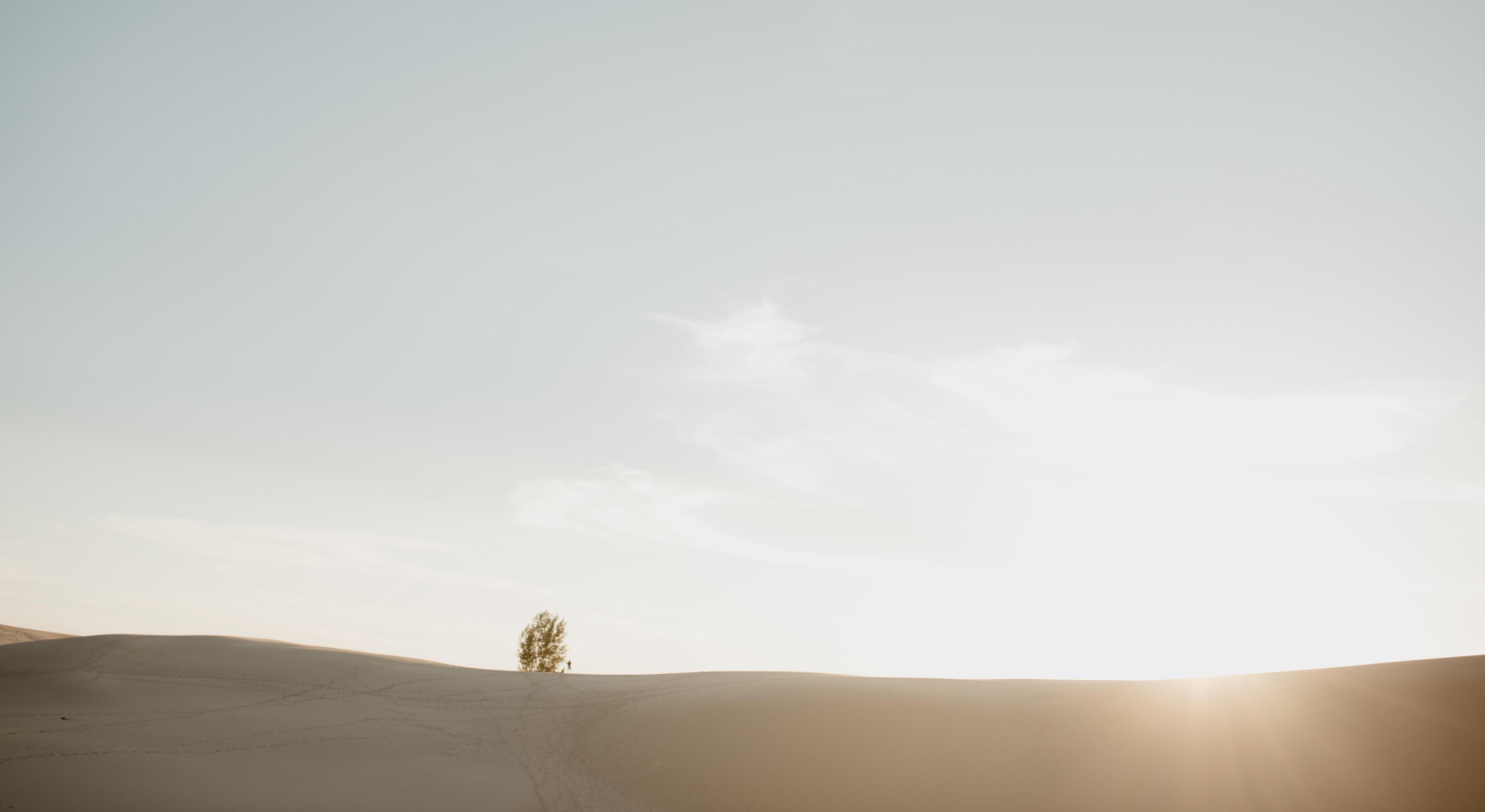 Footer image