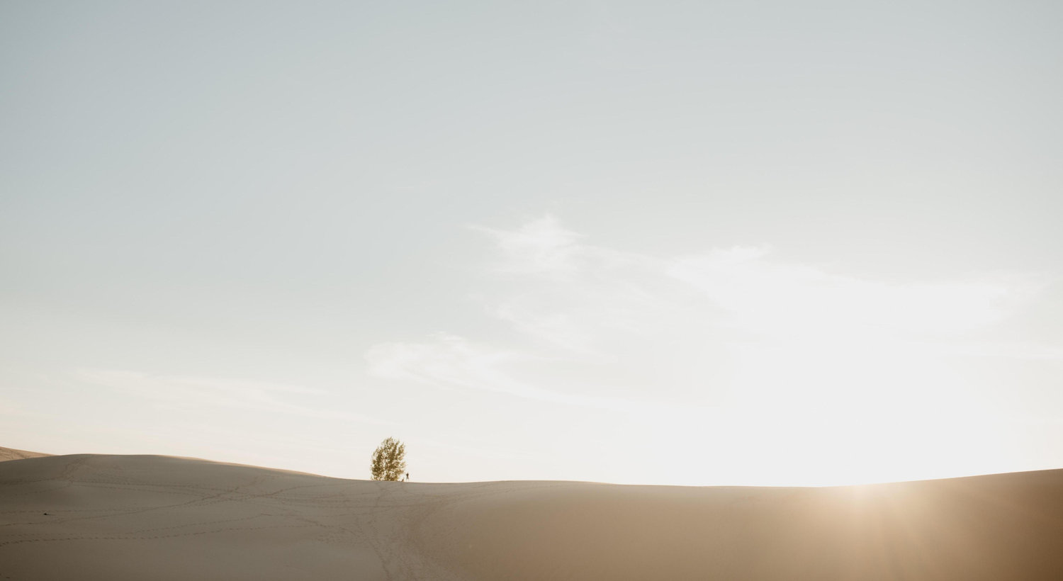 Footer image