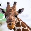 Jacksonville Zoo and Botanical Gardens