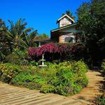 Sonya's Garden