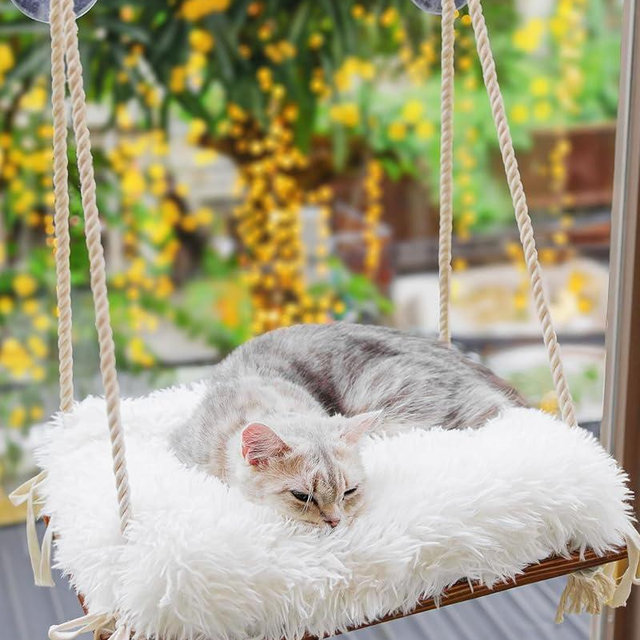 Cat Window Perch - Hammock Bed for Cats Inside - Solid Wood Seat, 4 Strong Suction Cups, Soft Cushion - Rustic Indoor Pet Shelf