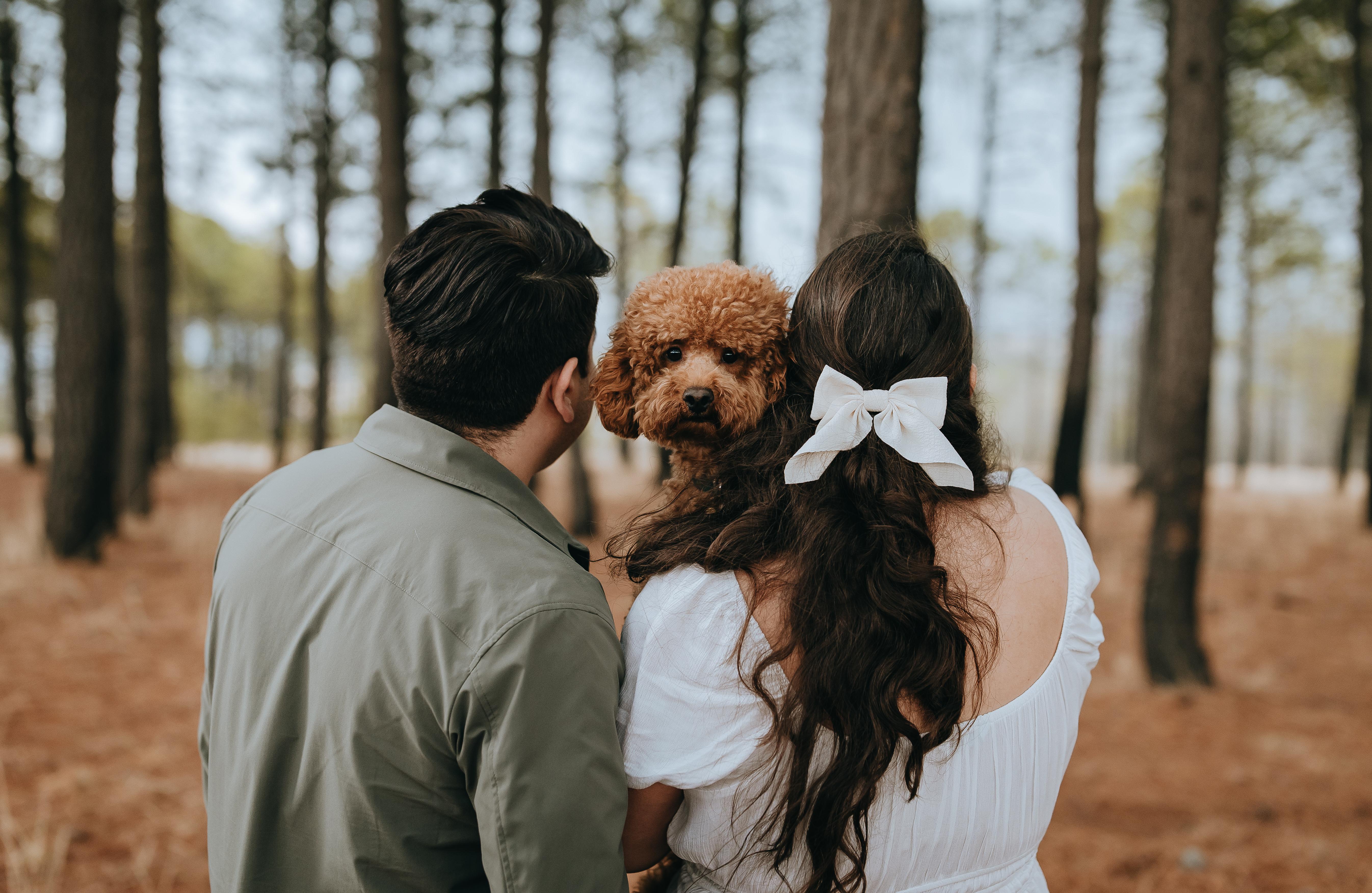 The Wedding Website of Mayra Gonzalez and Moha Tellez