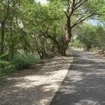 Bosque Trail