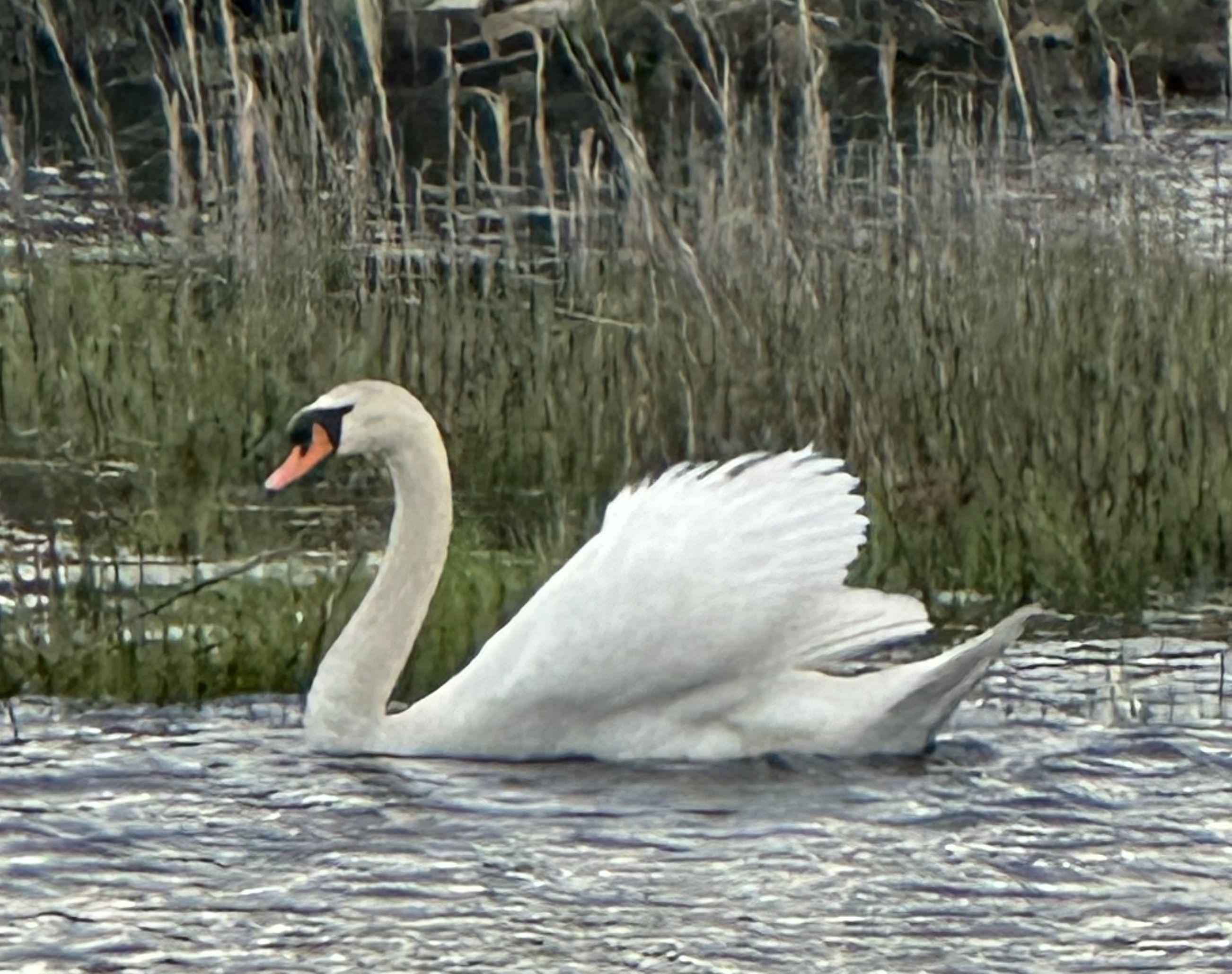 The Wedding Website of Steve Letts and Corinne Dasti