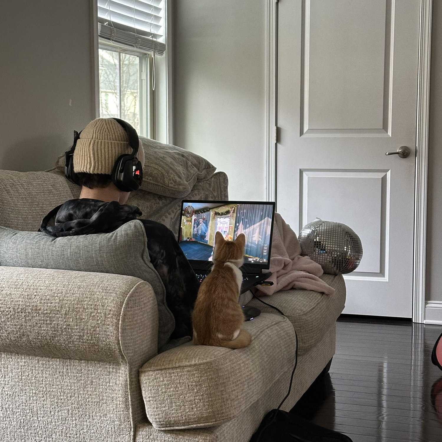 Sushi loves watching Kyle play!
