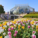 Phipps Conservatory & Botanical Gardens