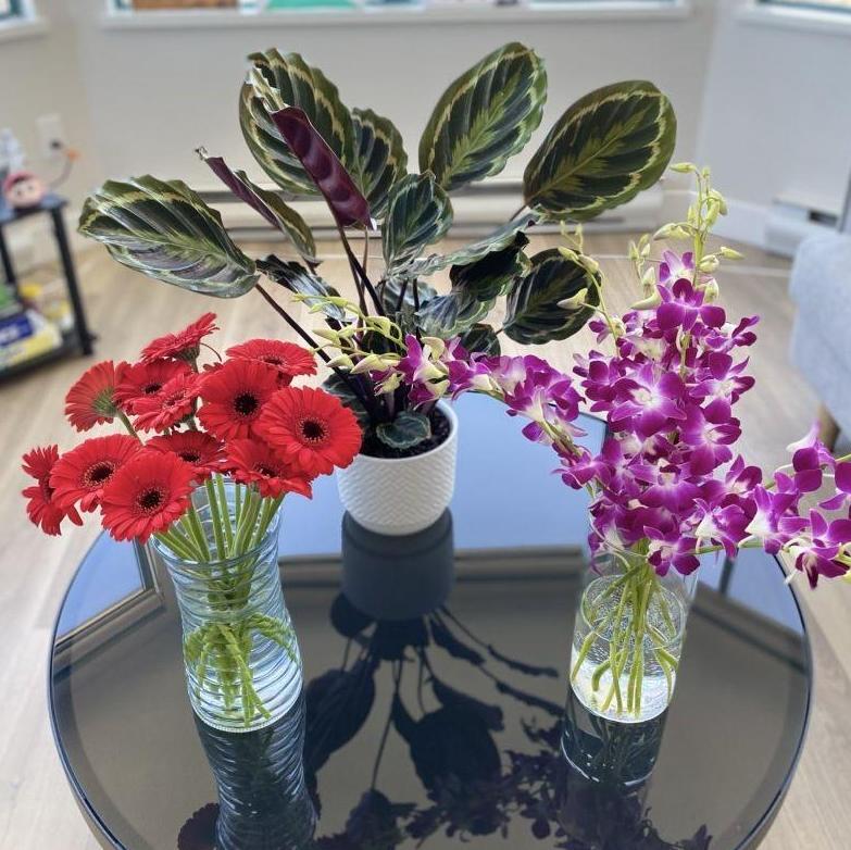 💐🌸 Flores bellas en nuestro hogar