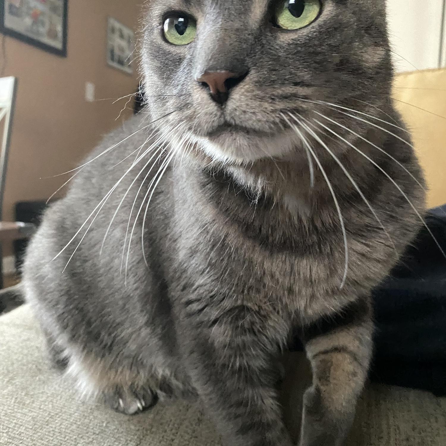Winnie /
Winnie-Bear /
Winnifred: 
First born of Brad & Kari