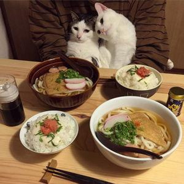 Dinner for the Couple
