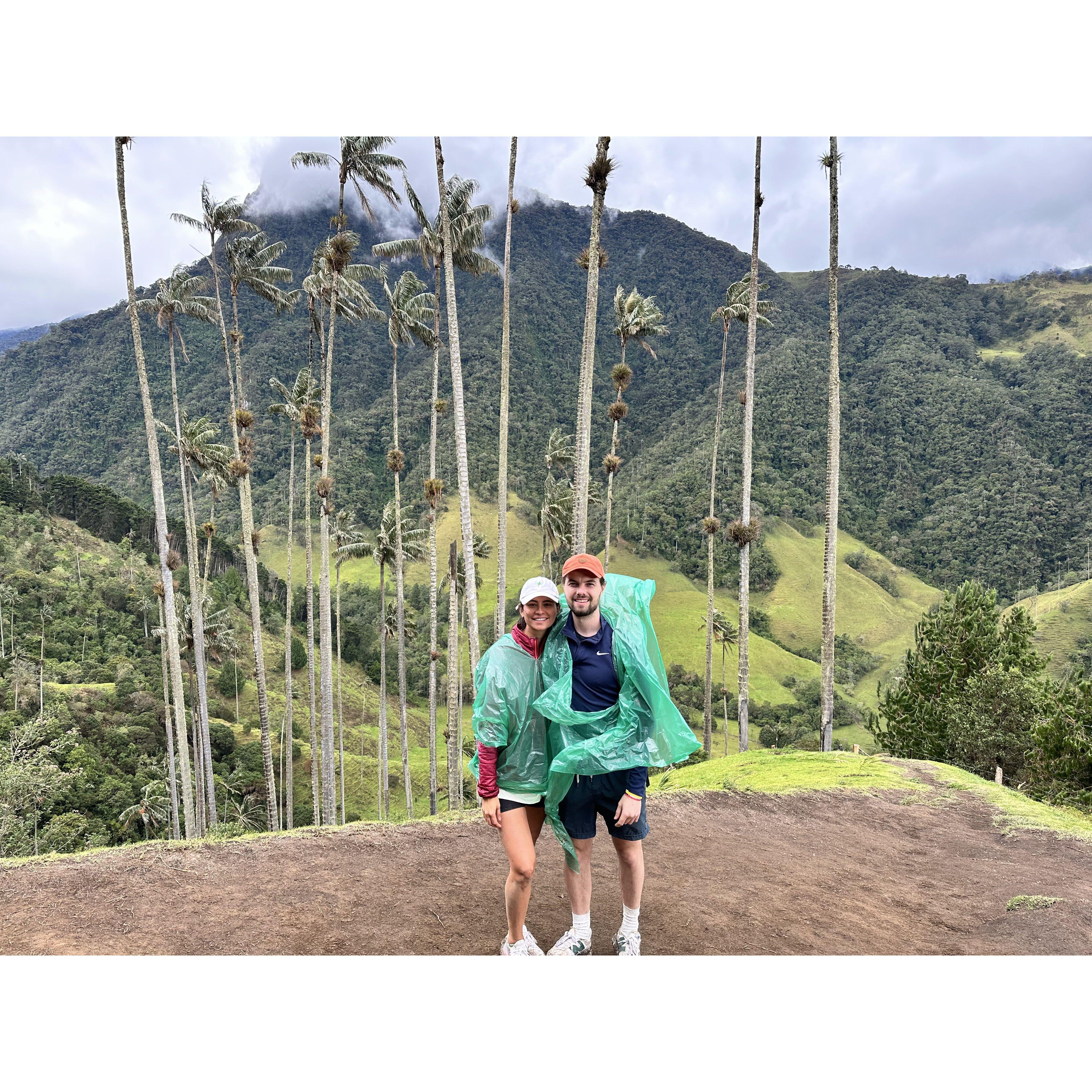 July 2023 — Alex's 3rd trip to Colombia, a big hike to see the world's tallest palm trees