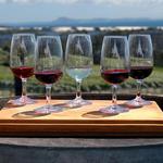 Woodinville Wine Tasting