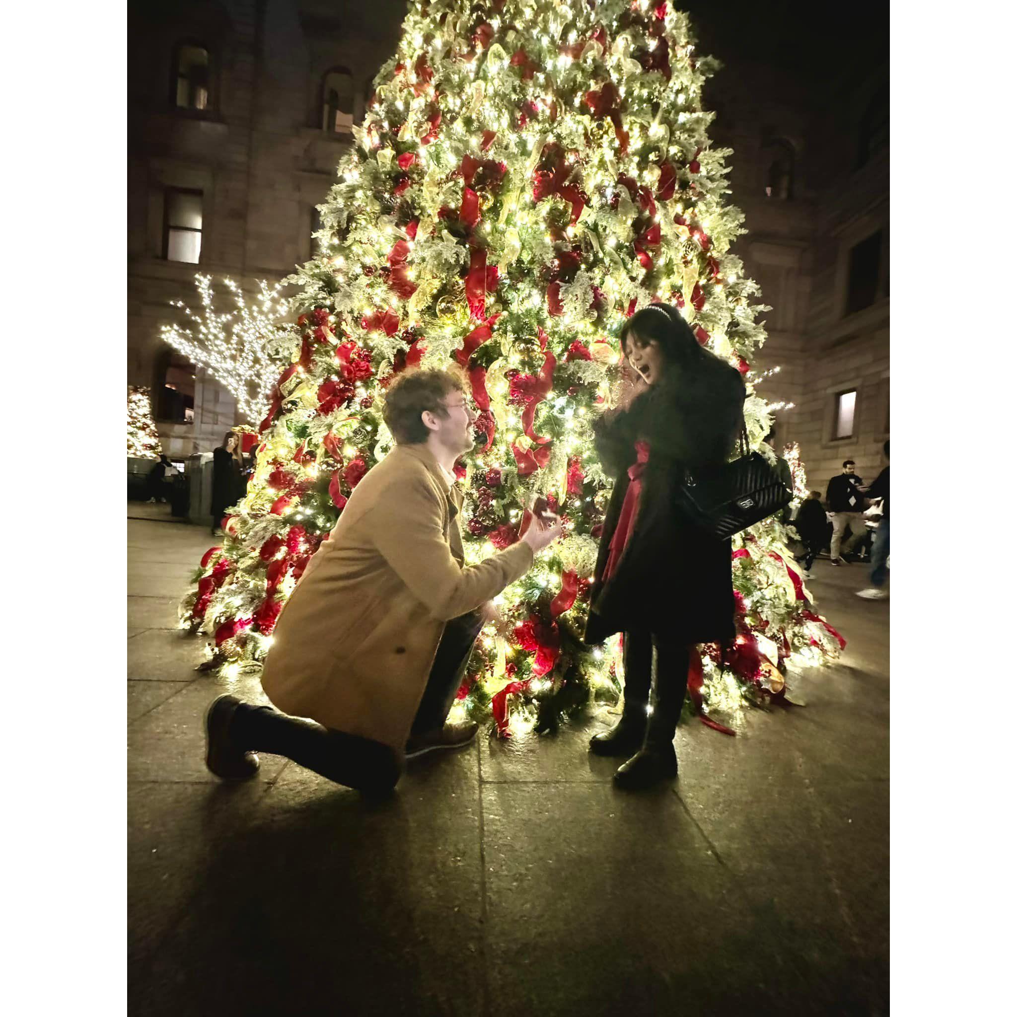 12/16/2023: They're engaged! Lyndsey was convinced the morning of that nothing will happen. Ryan had other plans. He finally popped the question in front of the Lotte Palace Tree!