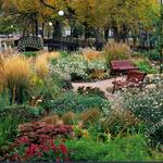 Loring Park
