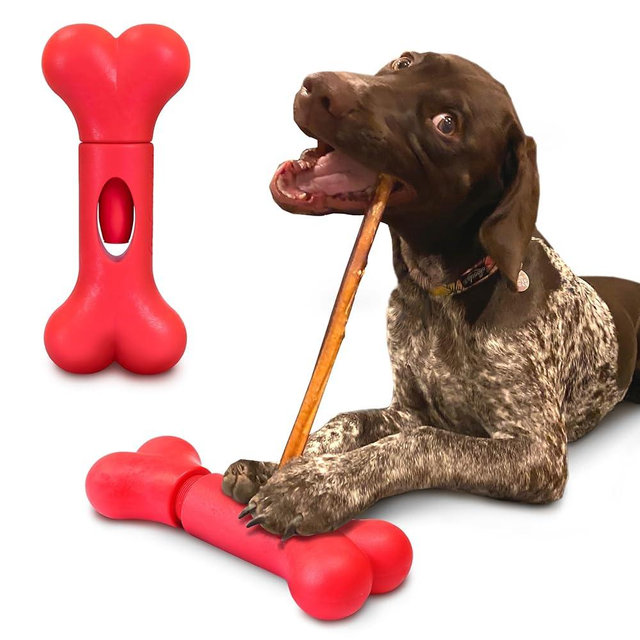 GoSports Chew Champ Bully Stick Holder for Dogs - Securely Holds Bully Sticks to Help Prevent Choking - 6 in or 8 in Size, 1 Count (Pack of 1)