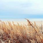 Sherwood Island State Park