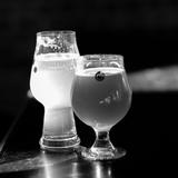 SingleSpeed Brewing Co.