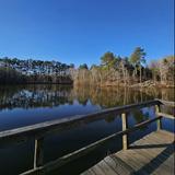 Anne Springs Close Greenway : Hiking,biking,fishing,camping & horseback riding.