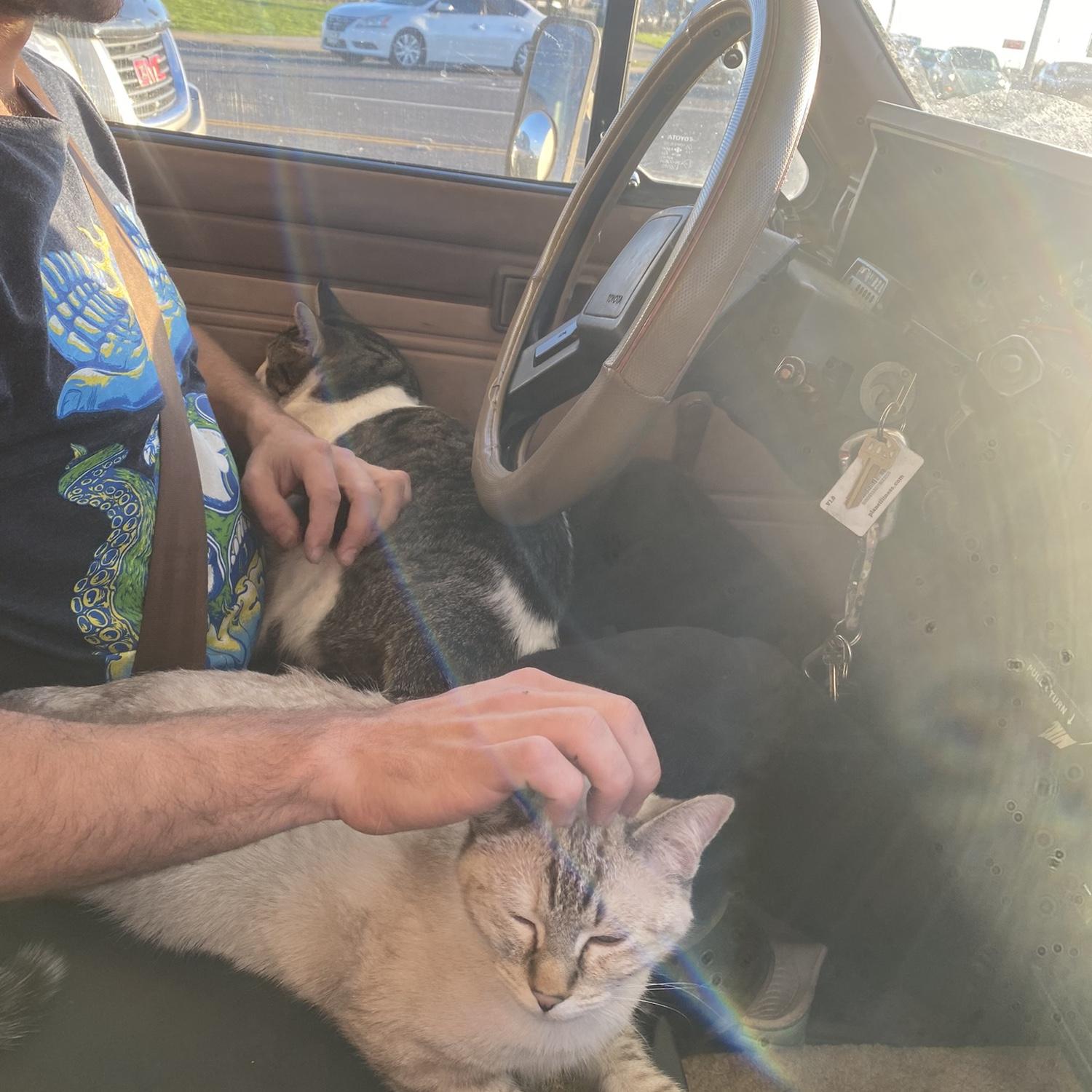 Harry and Henrietta helping daddy drive