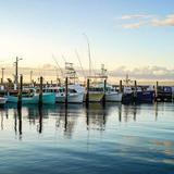 Fishing Charters
