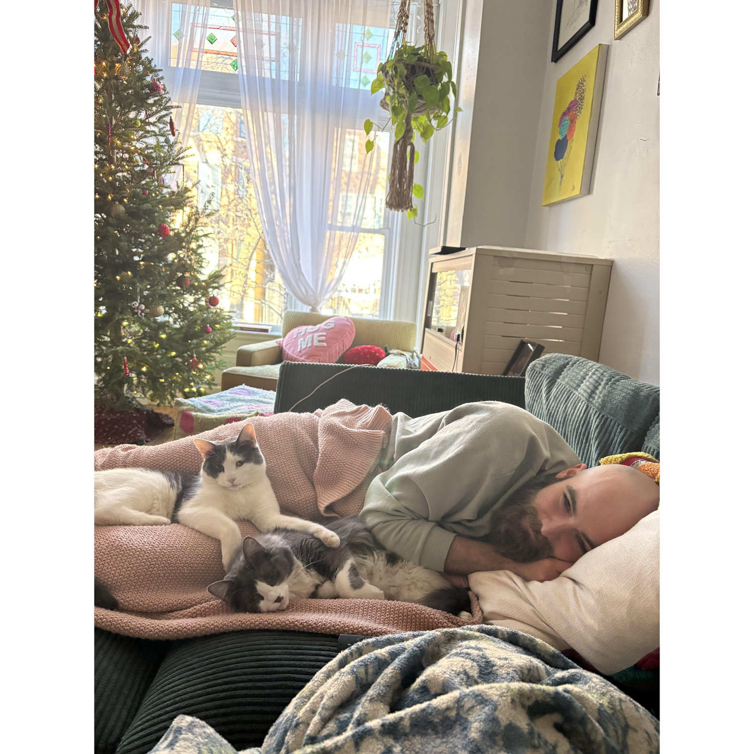 Callie has the best view on lazy Sunday mornings
