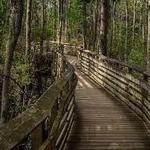 First Landing State Park