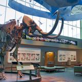 Florida Museum of Natural History