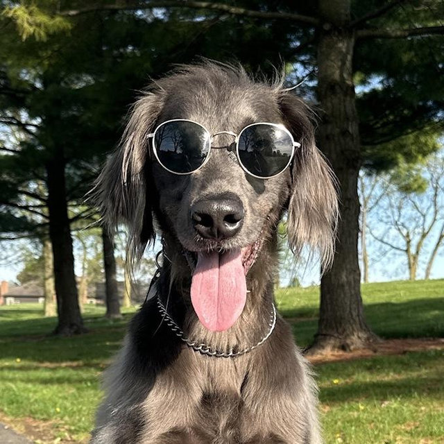 Bruce’s Boarding Fund