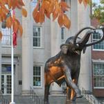 University of Nebraska State Museum